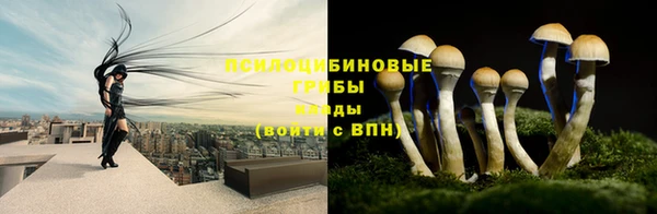кристаллы Новозыбков
