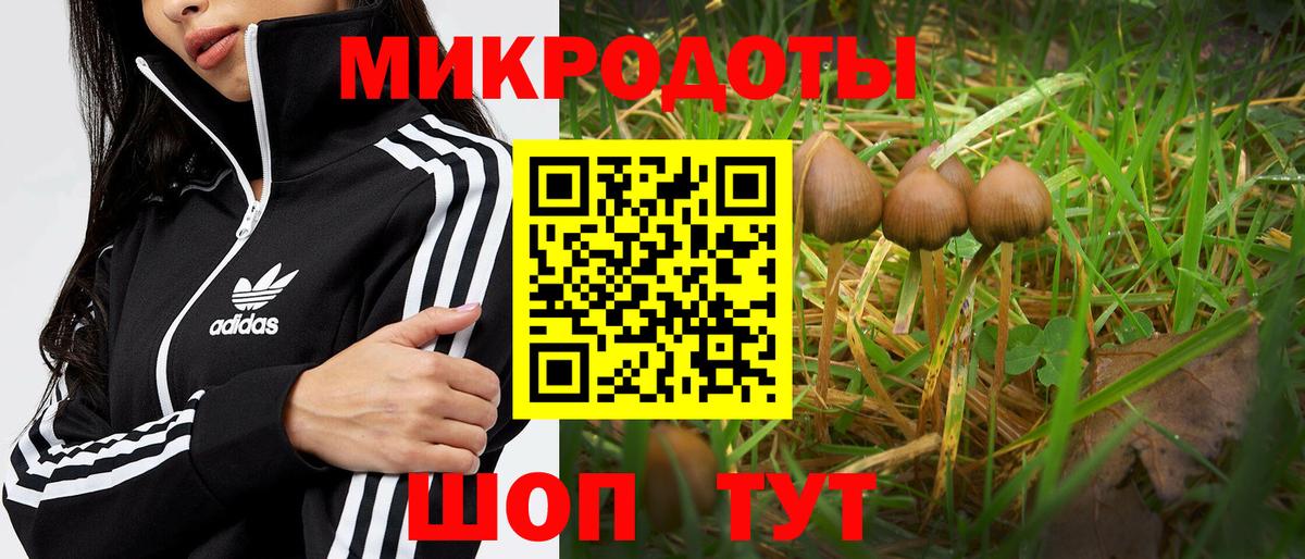 Псилоцибиновые грибы ЛСД Учалы